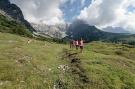 FerienhausÖsterreich - : Apartment Studio Alpine