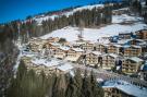 FerienhausÖsterreich - : Alpine Apartment Superior