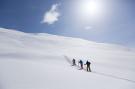 FerienhausÖsterreich - : Apartment Alpine Superior