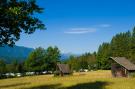 Holiday homeAustria - : Resort Pressegger See 2