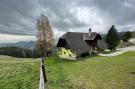 Holiday homeAustria - : Graslerhütte