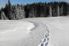 FerienhausÖsterreich - : Graslerhütte