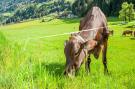 FerienhausÖsterreich - : Wildauhof Bauernhaus