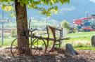 Holiday homeAustria - : Haus Bergheim - Enzian