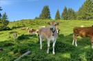 FerienhausÖsterreich - : Ferienwohnung am Bio-Bauernhof