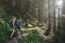 FerienhausÖsterreich - : Ferienwohnung am Bio-Bauernhof