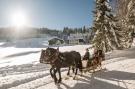 FerienhausÖsterreich - : Hideaway Dachstein West 1