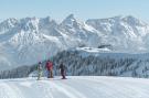 Holiday homeAustria - : Saalbach Suite 1