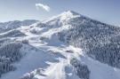 Holiday homeAustria - : Saalbach Suite 4