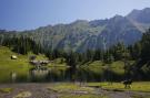 FerienhausÖsterreich - : Alpenchalets Reiteralm 2