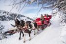 FerienhausÖsterreich - : Ferienhaus Peitler