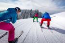 FerienhausÖsterreich - : Naturpark Chalets 2