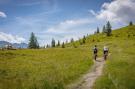 VakantiehuisOostenrijk - : Ferienhaus Alpen Apart