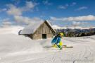 FerienhausÖsterreich - : Superior Chalet mit Whirlpool innen