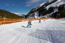 Holiday homeAustria - : Thaler Hütte - Platzhirsch