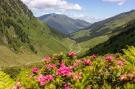 FerienhausÖsterreich - : Thaler Hütte - Platzhirsch