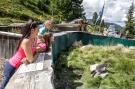 FerienhausÖsterreich - : Thaler Hütte - Platzhirsch