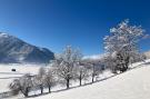 Holiday homeAustria - : Fewo Pinzgau