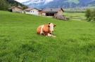 Holiday homeAustria - : Appart Mount Gilfert View