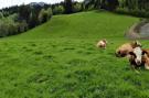 Holiday homeAustria - : Appart Mount Gilfert View