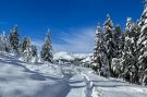 FerienhausÖsterreich - : Chalet Gletscherblick