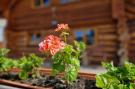 FerienhausÖsterreich - : Naturstammhaus Almhütte