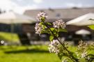 Holiday homeAustria - : die Dorfidylle "Resi im Dorf"