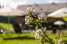 Holiday homeAustria - : die Dorfidylle "Resi im Dorf"  [19] 