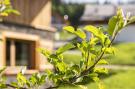 Holiday homeAustria - : die Dorfidylle "Moidei im Dorf"