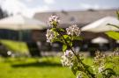 VakantiehuisOostenrijk - : das kleine Feine "Leni im Dorf"