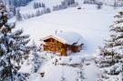 VakantiehuisOostenrijk - : Stiermoos Hütte