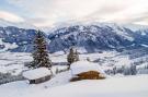 FerienhausÖsterreich - : Stiermoos Hütte