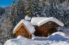 FerienhausÖsterreich - : Oberholzlehen Hütte