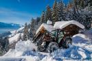 FerienhausÖsterreich - : Oberholzlehen Hütte