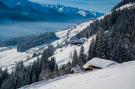 VakantiehuisOostenrijk - : Oberholzlehen Hütte