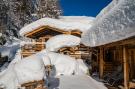 FerienhausÖsterreich - : Oberholzlehen Hütte