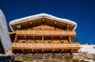 FerienhausÖsterreich - : Oberholzlehen Hütte