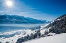 FerienhausÖsterreich - : Oberholzlehen Hütte