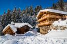 FerienhausÖsterreich - : Oberholzlehen Hütte