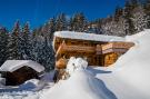 FerienhausÖsterreich - : Oberholzlehen Hütte