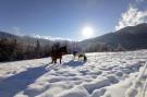 FerienhausÖsterreich - : Roßweid Hütte