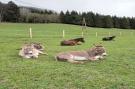 FerienhausÖsterreich - : Roßweid Hütte