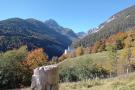 FerienhausÖsterreich - : Roßweid Hütte