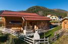 Holiday homeAustria - : Chalet Steinbock