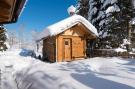 FerienhausÖsterreich - : Chalet Steinbock