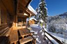 Holiday homeAustria - : Chalet Steinbock