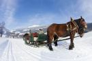 FerienhausÖsterreich - : Edenlehen - Plattenkogel