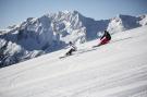 FerienhausÖsterreich - : Edenlehen - Plattenkogel