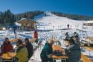 VakantiehuisOostenrijk - : Apartments Filzsteinalm