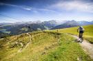 FerienhausÖsterreich - : Ferienhaus Bachmaier